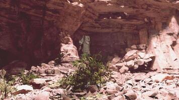 A stunning natural cave with vibrant plant life emerging from the rocks video