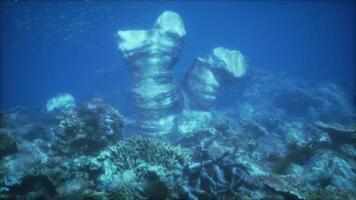 An underwater view of a coral reef with a large piece of coral sticking out of video