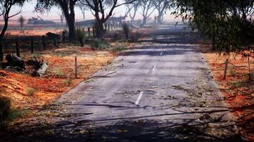 An empty road surrounded by trees in a remote location video