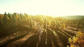 A stunning sunset over a serene forest landscape, viewed from above video