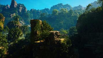 un' panoramico Visualizza di un' montagna gamma con alberi e rocce video