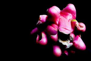 close up view of dragon fruit on black background photo