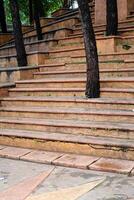 trees growing on the steps of a city park. photo