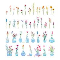 Big set of delicate graceful wildflowers glass vase tall stems foliage Simple floral elements Wild plants isolated white background Flat illustration vector