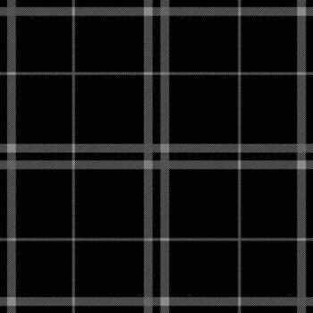 Textile fabric 2 color check pattern vector