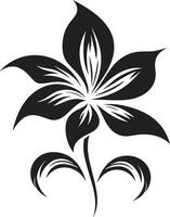 Solid Petal Boundary Monochrome Designated Flower Intricate Bloom Outline Black Emblematic Flower Sketch vector