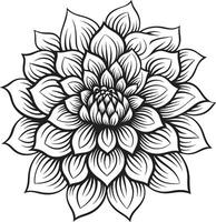 Sophisticated Floral Chic Monochrome Design Stylish Botanical Emblem Grace vector