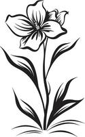 Arctic Winter Blooms Black Emblematic Detail Whimsical Snow Petals Monochrome Icon vector