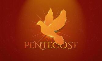 Gold and Red Symbolic Pentecost Sunday Greeting Art Banner. Gold artistic Dove Icon with glowing golden edges. Pentecost typography art on red background. vector