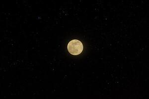 el lleno Luna en el oscuro noche. foto