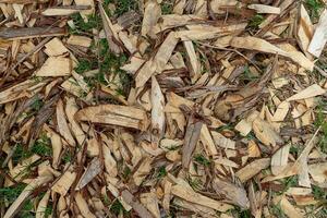 Wood chips for charcoal photo