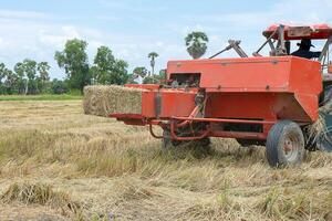 Rice straw machine photo