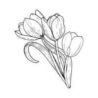 Tulip flower bouquet illustration three. Curved leaves bulb head black outline graphic drawing. Botanical blossom greeting card. Ink line contour silhouette outline vector