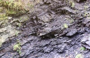 texturizado áspero rocas con lote de pequeño detalles foto