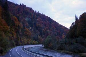 Road in autumn forest at sunset in Carpathian mountains, Ukraine. Beautiful mountain roadway with orange tress and high rocks. Landscape with empty highway through the woods in fall photo