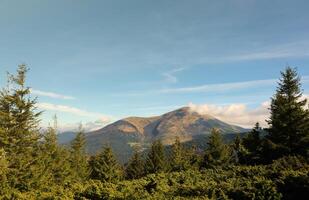 Mount Hoverla hanging peak of the Ukrainian Carpathians against the background of the sky photo