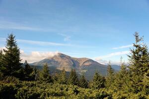 Mount Hoverla hanging peak of the Ukrainian Carpathians against the background of the sky photo