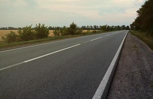 Empty asphalt road and floral field of different grass and flowers in evening time photo