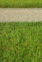 A beautiful new walkway made of paving stone is located among the green grass photo