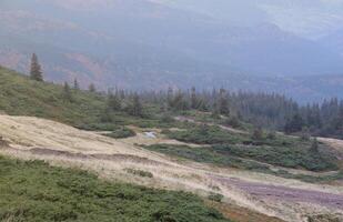 Morning view from the Dragobrat mountain peaks in Carpathian mountains, Ukraine. Cloudy and foggy landscape around Drahobrat Peaks photo