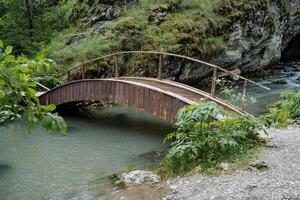 equipado peatonal cruce terminado el río de madera puente, un puente en el formar de un arco arrojado terminado un montaña arroyo, un ecológico sendero en el parque, excursionismo en el bosque. foto