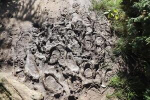 Foot mark on the jungle trail. Shoe prints on wet gravel or mud in mountain area photo