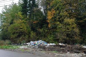 basura pila sin contenedor de basura dispersado todas terminado el calle en bosque foto