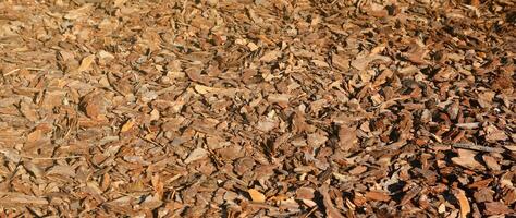 Full frame closeup of brown mulch used for gardening and landscape decoration. Texture of Birch mulch bark for garden. Closeup of wood chip path covering photo