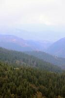 Morning view from the Dragobrat mountain peaks in Carpathian mountains, Ukraine. Cloudy and foggy landscape around Drahobrat Peaks photo