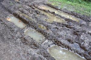 Muddy tracks with puddles on wet muddy surface in forest path photo