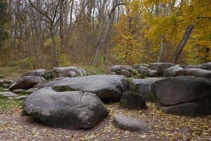 Beautiful Nature Autumn landscape. Scenery view on autumn city park with golden yellow foliage in cloudy day photo