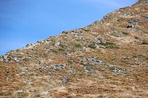 montar hoverla colgando pico de el ucranio montes de Cárpatos en contra el antecedentes de el cielo foto