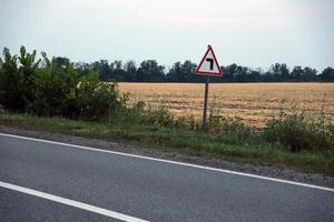 Empty asphalt road and floral field of different grass and flowers in evening time photo