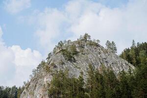 un rock en contra el antecedentes de un blanco nube, un montaña paisaje, pino arboles crecer en parte superior de el montaña, el naturaleza de Rusia taiga paisaje foto