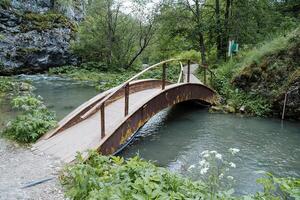 el turista ruta pasa mediante un puente terminado un montaña arroyo, un de madera puente con barandillas, un rock por el agua, un sendero en el bosque, un sitio para caminando en pie. foto