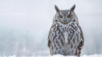 majestuoso búho en invierno exhibiendo el belleza de fauna silvestre y naturaleza con un sereno nieve fondo foto