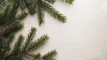Fir branches arranged on plank wood texture with green nature elements for Christmas background photo