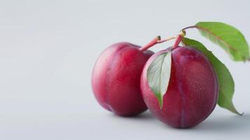 Close-up of ripe purple plums with fresh green leaves on white background photo