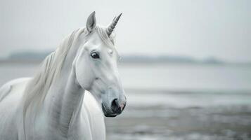 místico unicornio en blanco retrata fantasía, magia, y mítico belleza foto