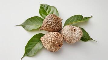 Closeup of dried betel nuts and green leaves, representing organic and natural Asian chewable stimulants photo