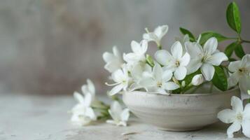 blanco jazmín flores en floración con delicado pétalos desplegado en un sencillo cuenco exhibiendo el belleza y aroma de primavera foto