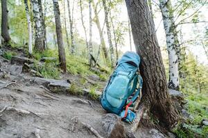 un azul mochila es inclinado en contra un árbol, un excursionismo viaje con un cuenco mediante el bosque, un anatómico atrás, correas apretar un cintura cinturón, equipo en un caminata. foto