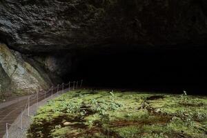 un oscuro Entrada a el cueva, un excursionismo camino, un equipado sitio para paso, barandillas, un túnel, un pantanoso zona de verde césped. foto