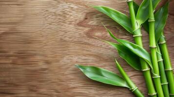 Bamboo leaves and green stems on wooden planks with a natural textured background photo