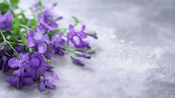 Violeta flores con púrpura pétalos y flora ramo de flores en floración en un texturizado antecedentes foto