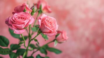 rosado rosas en floración con suave pétalos exhibiendo belleza y naturaleza en un bokeh antecedentes foto