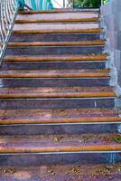 front view of the stairs leading up with a beautiful iron guard rail. photo