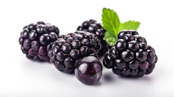 Blackberries fruit composition with fresh ripe juicy antioxidant vitamin-rich berries photo