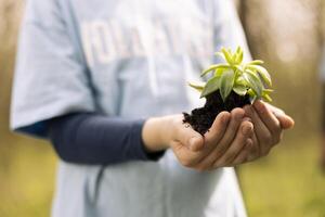 Young volunteer holding a small green sprout in her hands, symbolizing natural environment conservation and growth. Little girl working on preserving the forest habitat, save the planet. Close up. photo