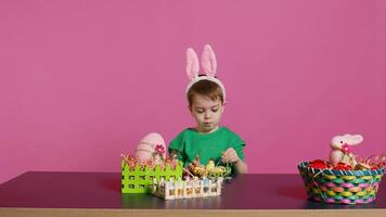 contento pequeño niño arreglando huevos y polluelo en un cesta en preparación para Pascua de Resurrección domingo celebraciones, creando festivo decoraciones en estudio. pequeño chico teniendo divertido colorante. cámara b. foto